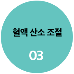 혈액산소조절